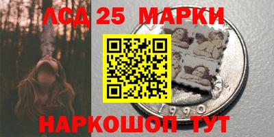 СК Кандалакша
