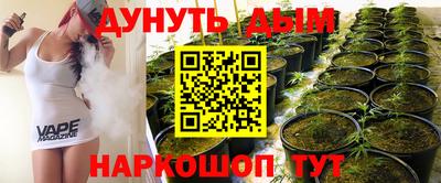 СК Кандалакша