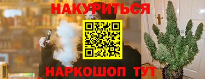apvp Канаш