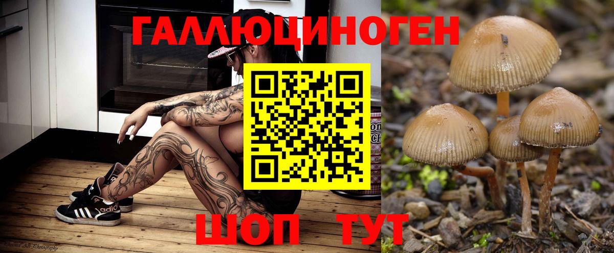 Галлюциногенные грибы прущие грибы Конаково